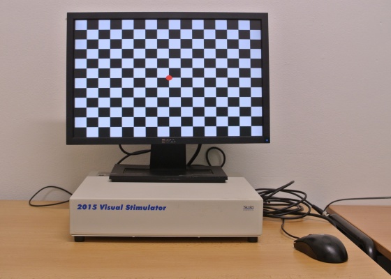 System for visual evoked potentials